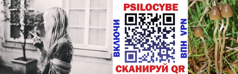 цена наркотик  Юрьевец  Псилоцибиновые грибы мицелий 