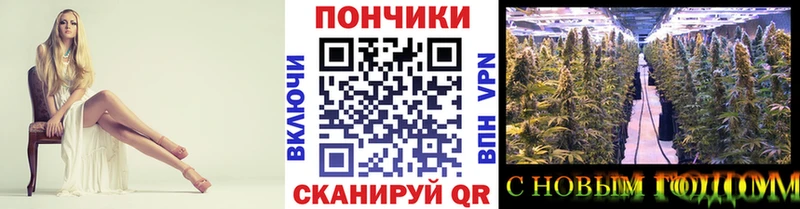 МЕГА зеркало  Юрьевец  Канабис гибрид 